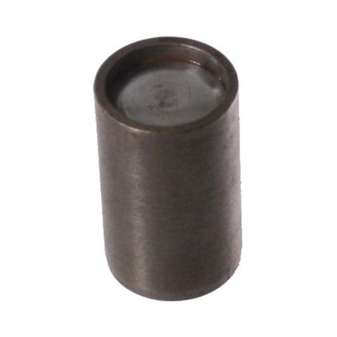 Trunnion Bushing RareParts 17870