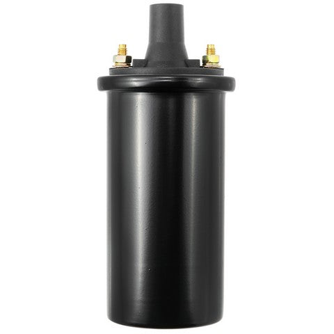Ignition Coil WVE 5C1017