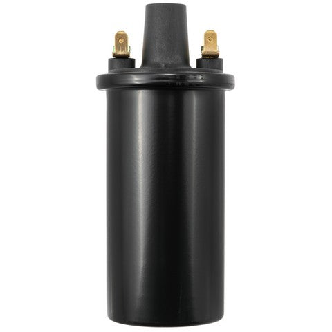 Ignition Coil WVE 5C1019