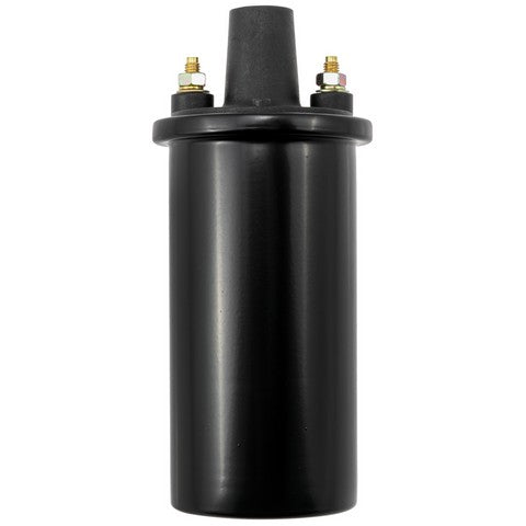 Ignition Coil WVE 5C1041