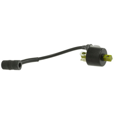 Ignition Coil WVE 5C1678