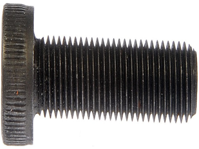 Screw Dorman 880-230BX