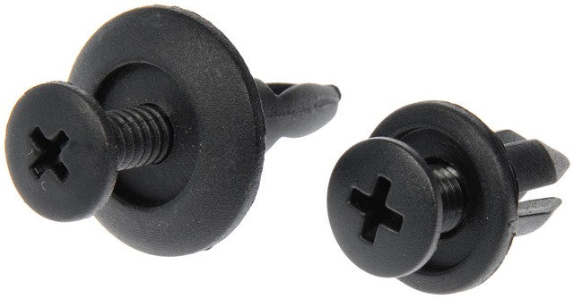 Nylon Rivet Assortment Dorman 961-045D