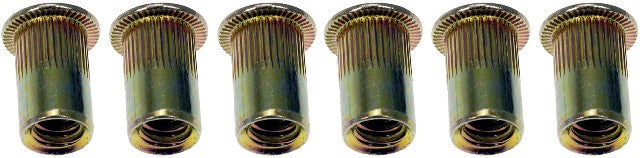 Rivet Nut Dorman 963-250D