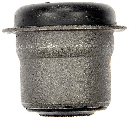 Suspension Control Arm Bushing Dorman Premium Chassis BC900299PR