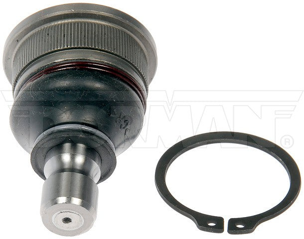 Suspension Ball Joint Dorman MAS BJ60435