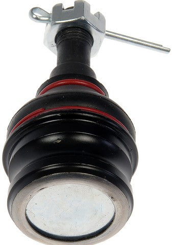 Suspension Ball Joint Dorman MAS BJ72165