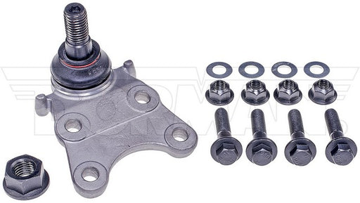 Suspension Ball Joint Dorman Premium Chassis BJ91015XL