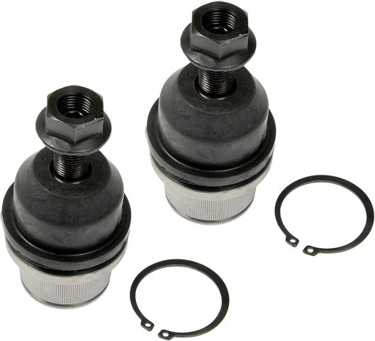 Suspension Kit Dorman Premium Chassis FEK92169XL