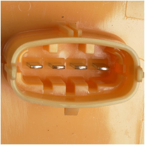 Fuel Pump Module Assembly Delphi FG1981