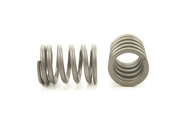Engine Valve Spring Pioneer RV-1123