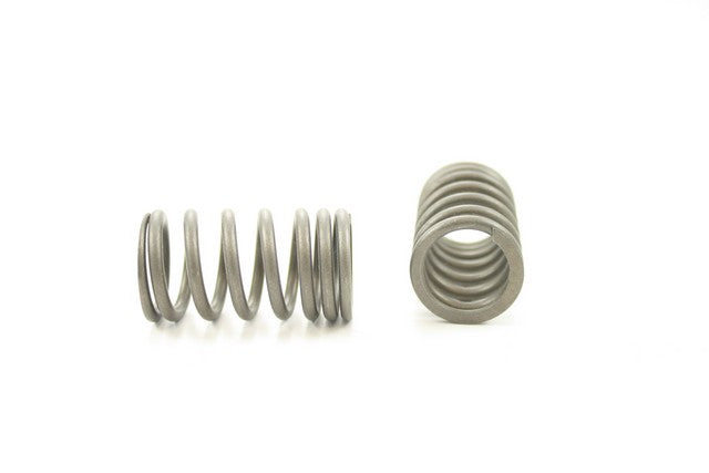 Engine Valve Spring Pioneer RV-1131