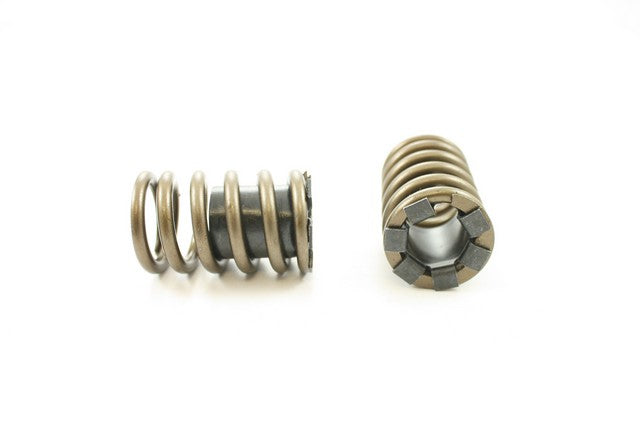 Engine Valve Spring Pioneer RV-1190-X