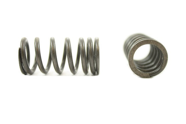Engine Valve Spring Pioneer RV-1204