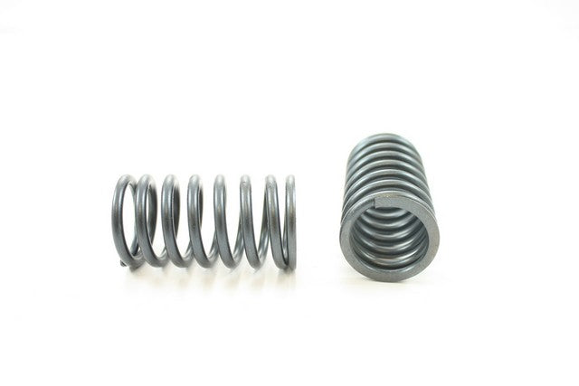 Engine Valve Spring Pioneer RV-1208