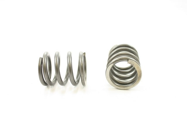 Engine Valve Spring Pioneer RV-1214