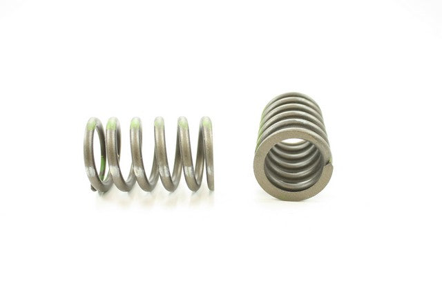 Engine Valve Spring Pioneer RV-1246