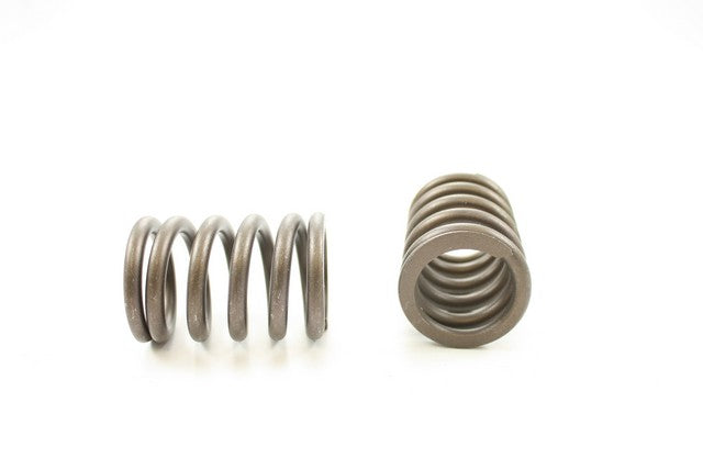 Engine Valve Spring Pioneer RV-1250