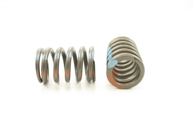 Engine Valve Spring Pioneer RV-1254
