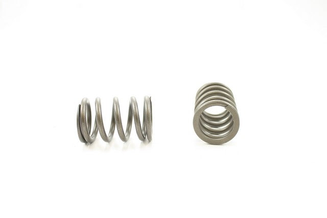 Engine Valve Spring Pioneer RV-1269