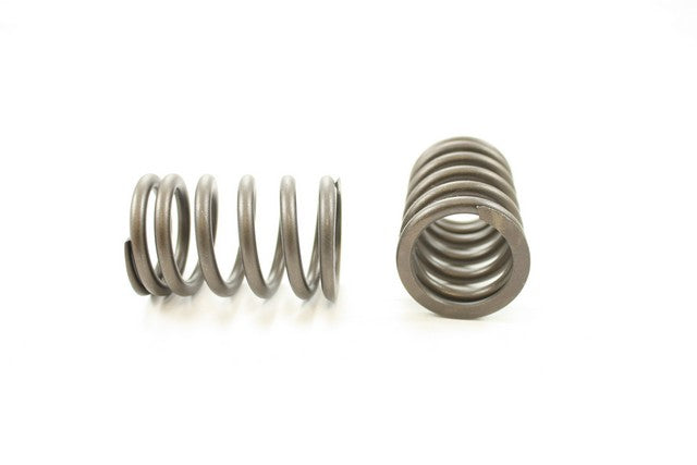 Engine Valve Spring Pioneer RV-1290
