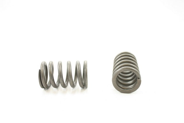 Engine Valve Spring Pioneer RV-1304