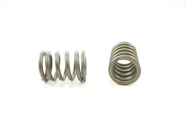 Engine Valve Spring Pioneer RV-1310