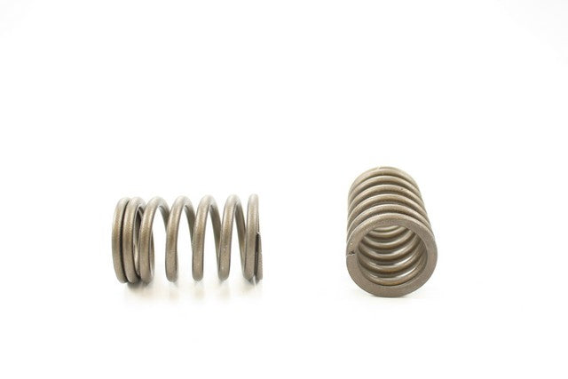 Engine Valve Spring Pioneer RV-1315