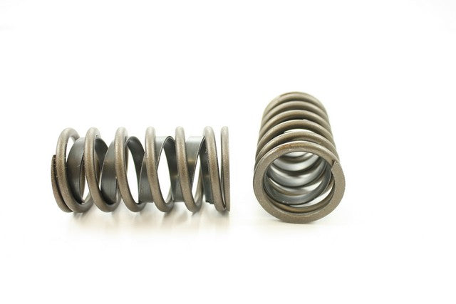 Engine Valve Spring Pioneer RV-1353