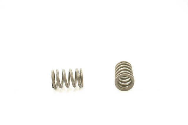 Engine Valve Spring Pioneer RV-1366