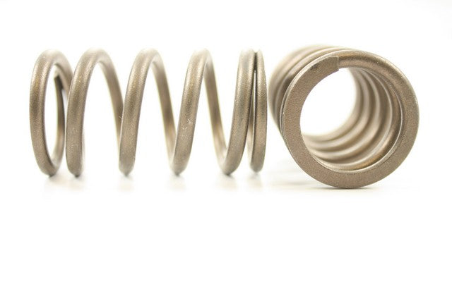 Engine Valve Spring Pioneer RV-1372