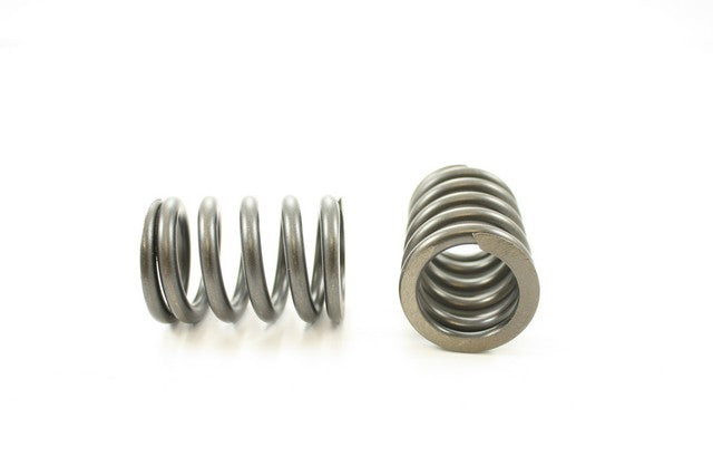 Engine Valve Spring Pioneer RV-1388