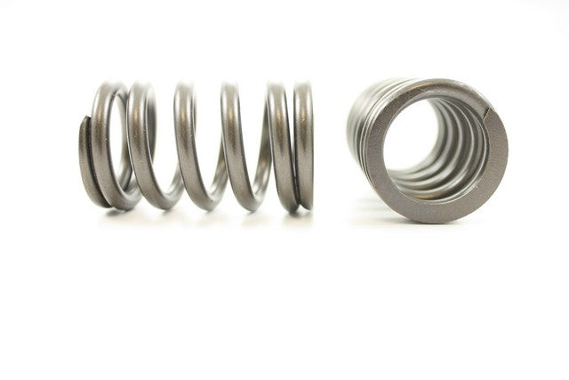 Engine Valve Spring Pioneer RV-1389