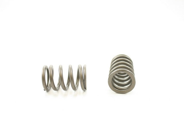 Engine Valve Spring Pioneer RV-1437