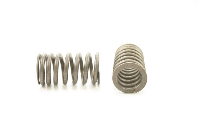 Engine Valve Spring Pioneer RV-1443