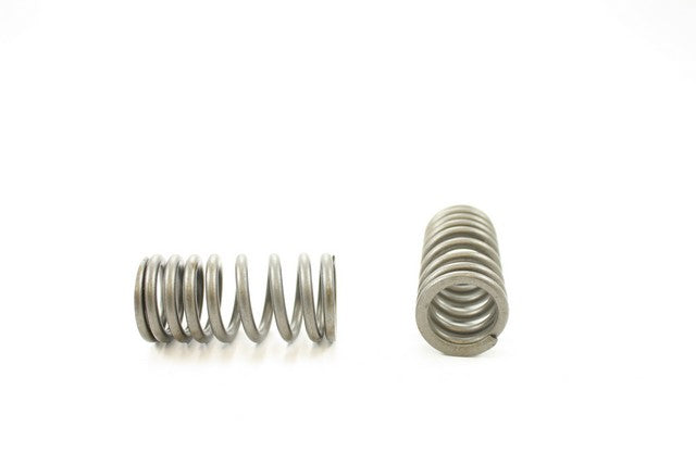 Engine Valve Spring Pioneer RV-1452