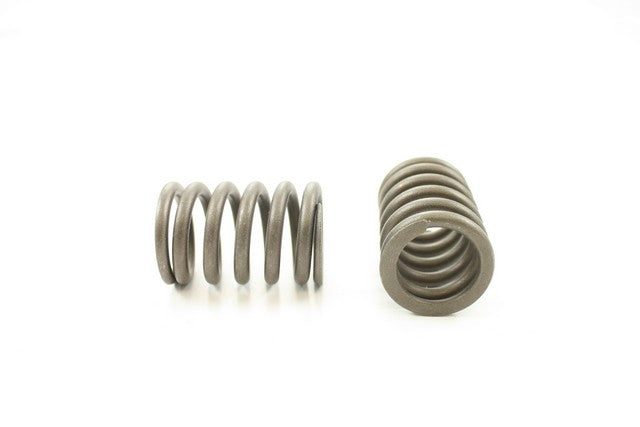 Engine Valve Spring Pioneer RV-1503