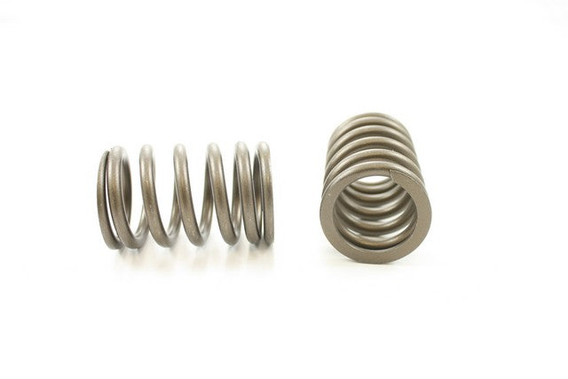 Engine Valve Spring Pioneer RV-1530