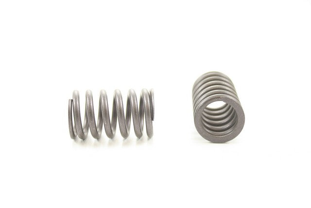 Engine Valve Spring Pioneer RV-1551