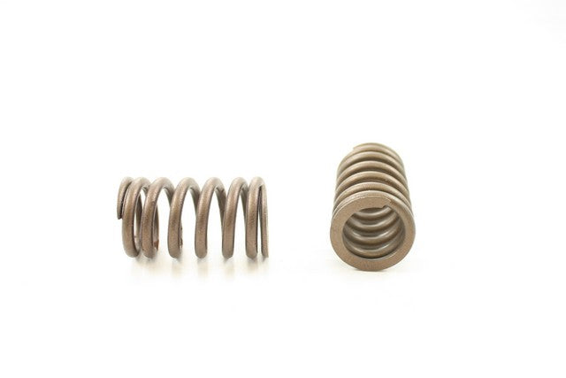 Engine Valve Spring Pioneer RV-2215