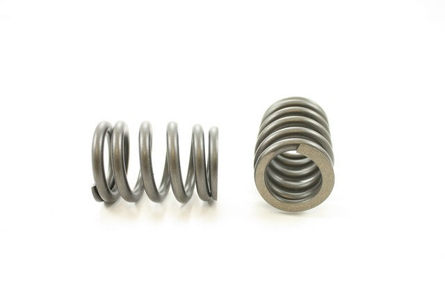 Engine Valve Spring Pioneer RV-2225