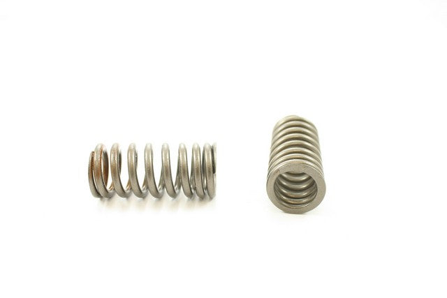 Engine Valve Spring Pioneer RV-2400