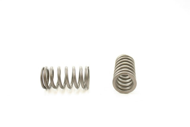 Engine Valve Spring Pioneer RV-2451