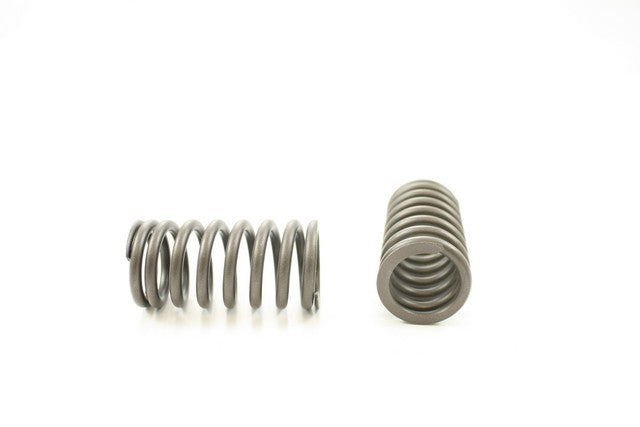 Engine Valve Spring Pioneer RV-607
