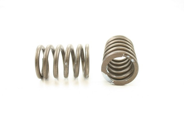 Engine Valve Spring Pioneer RV-672