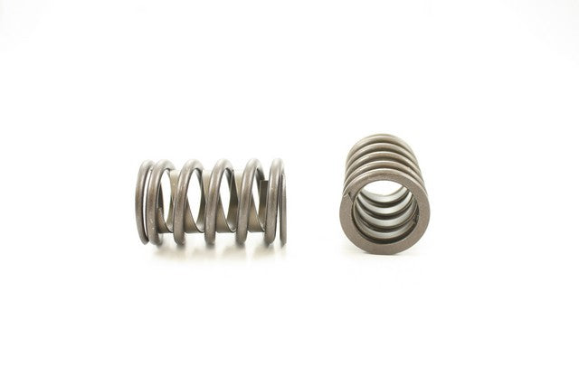 Engine Valve Spring Pioneer RV-677-X