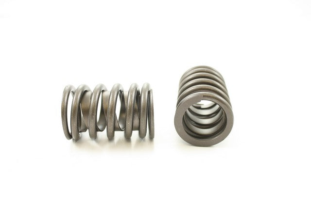Engine Valve Spring Pioneer RV-684-X
