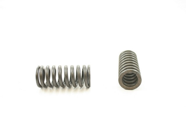 Engine Valve Spring Pioneer RV-686
