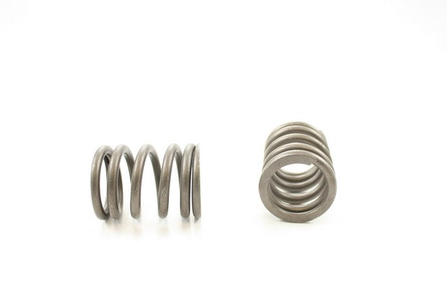 Engine Valve Spring Pioneer RV-778
