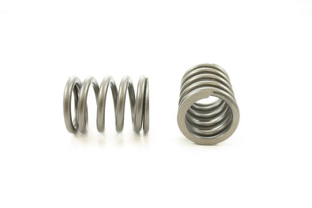 Engine Valve Spring Pioneer RV-812